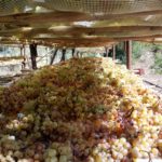 Ristoro dell'Amandolo